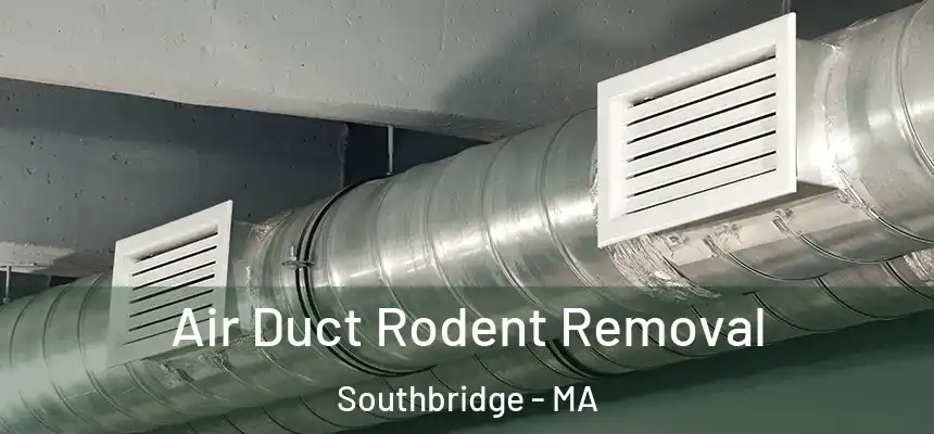  Air Duct Rodent Removal Southbridge - MA