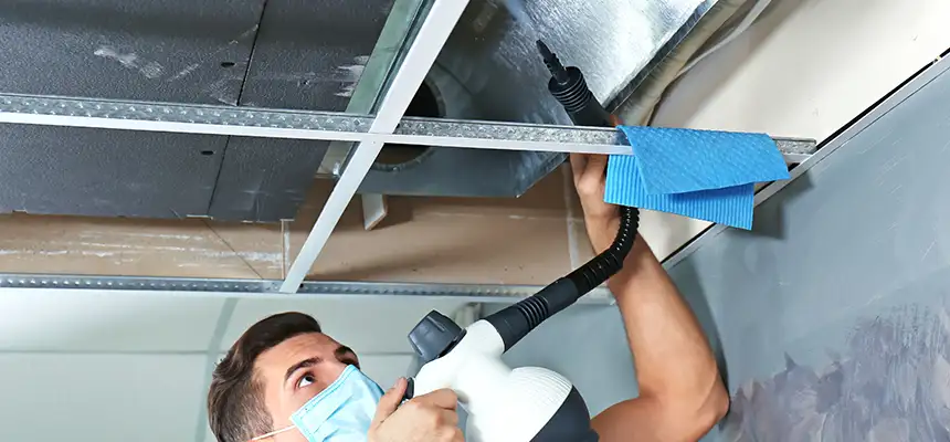 Our Air Duct Rodent Removal Services in Southbridge, MA