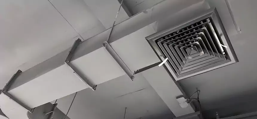 Restorative Allergy Relief Vent Cleaning – Coil, Blower & Housing Detail in Southbridge