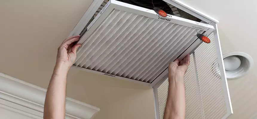 Our Insect Removal from Air Ducts Services in Southbridge, MA