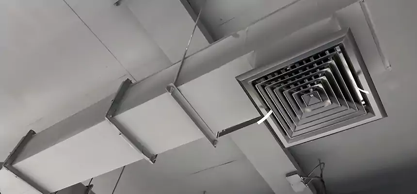 Our Rodent Droppings In Vents Services in Southbridge, MA