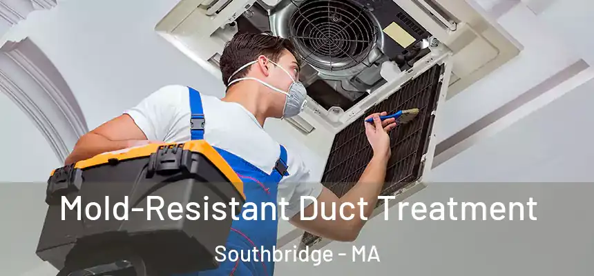  Mold-Resistant Duct Treatment Southbridge - MA