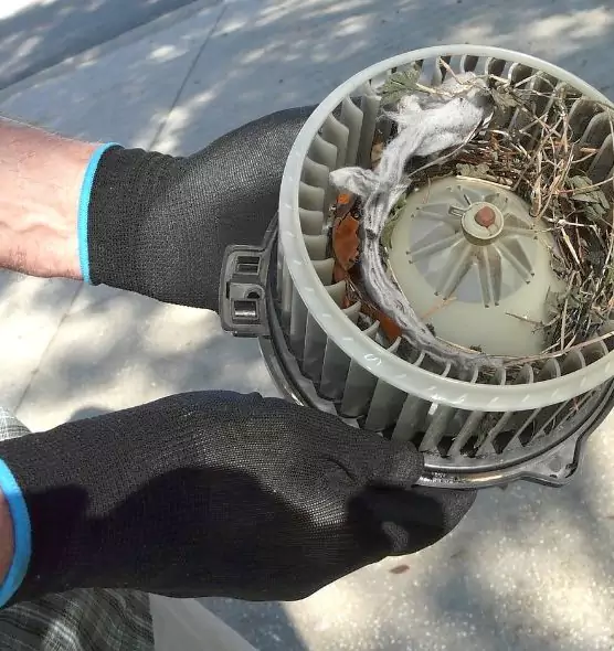 About Air Duct Rat Removal in Southbridge, MA